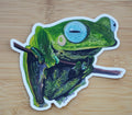 Flying Frog Sticker