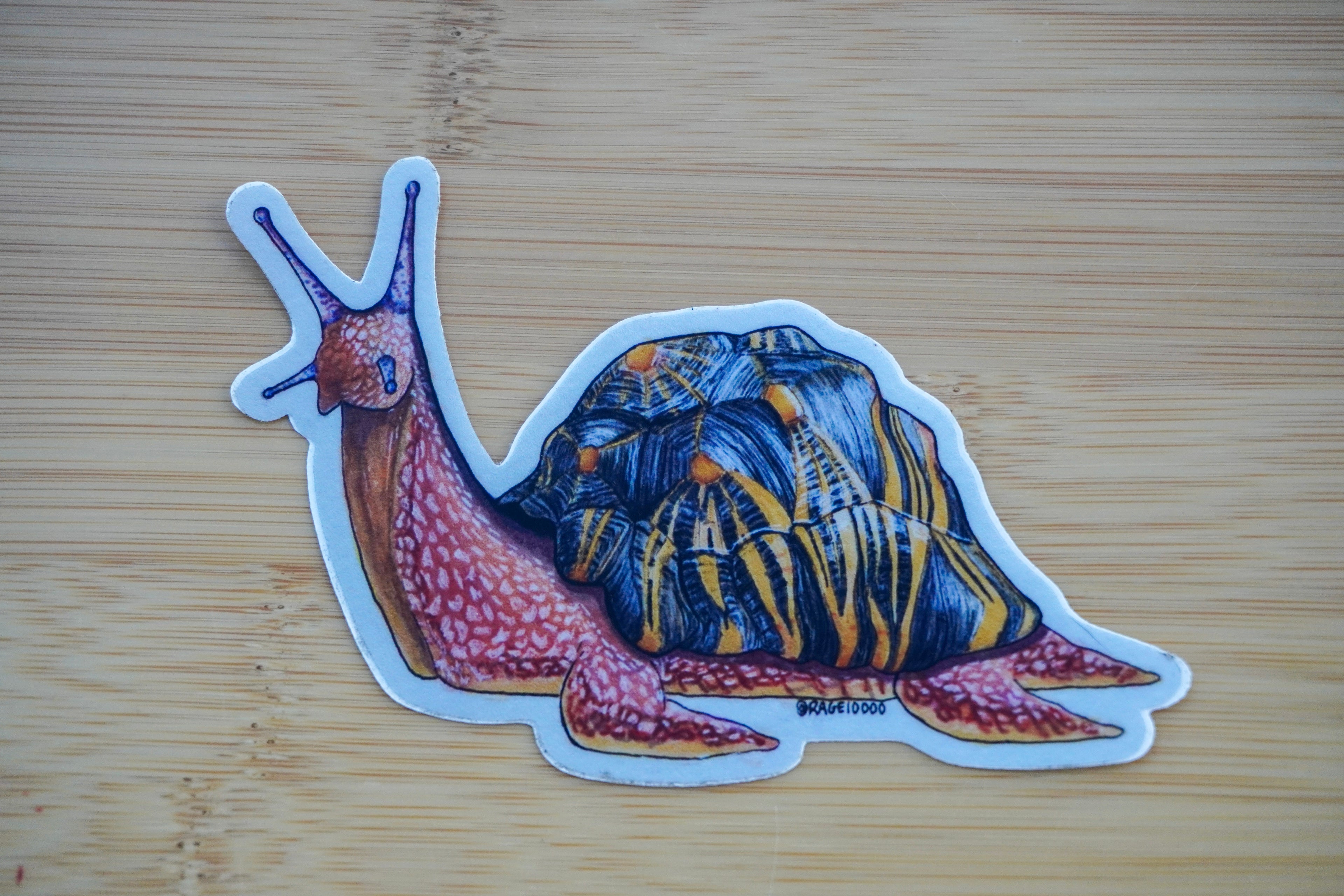 Snortoise Sticker