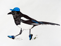 Magpie Print
