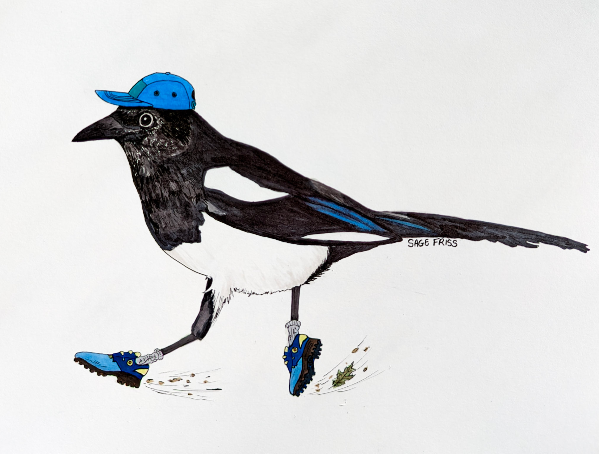 Magpie Print